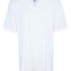 Hanes Men's V-Neck T-Shirt for Tall Men